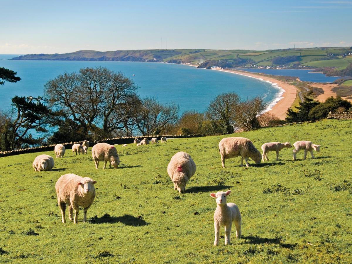 1 At The Beach Beesands Esterno foto